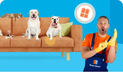 Smakas likvidēšana