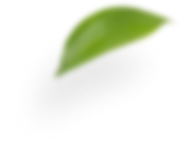 leaf4 - Химчистка пружинного матраса в Риге